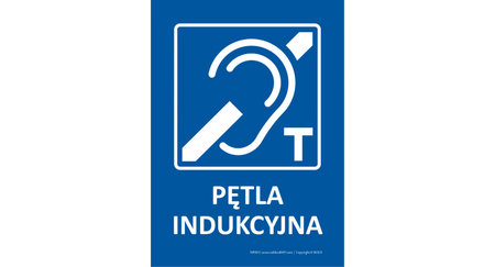 Znak Pętla indukcyjna NP001