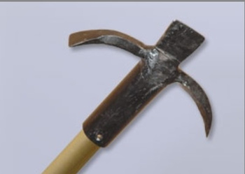 Grot bosaka sufitowego