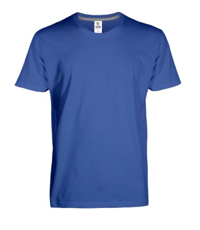 Koszulki T-SHIRT Procera (różne kolory)