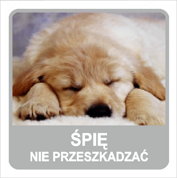 Znak śpię nie przeszkadzać na Folii Samoprzylepnej (823-167)