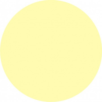 Znak ewakuacyjny - Krążek ewakuacyjny (AC222)