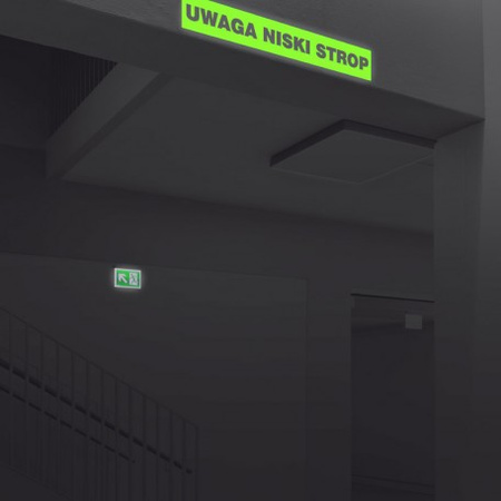 Znak ewakuacyjny - Uwaga niski strop (AC208)