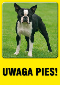 Znak Uwaga! Pies (PC202)