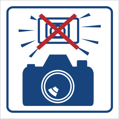 Znak zakaz używania lamp błyskowych na płycie PCV (823-80)