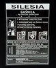 Etykieta serwisowa uniwersalna do gaśnicy proszkowej GP4x, 6x  -SILESIA