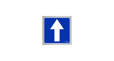 Droga jednokierunkowa (znak podłogowy) (D03-F)
