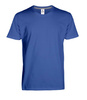 Koszulki T-SHIRT Procera (różne kolory)