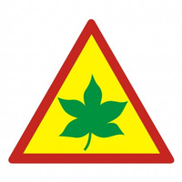 B1 (100x100mm)