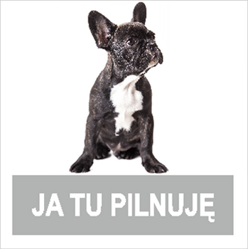 Znak stop ja tu pilnuję na Folii Samoprzylepnej (823-164)