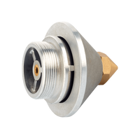 25 mm
