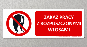 Oznaczenie Zakaz pracy z rozpuszczonymi włosami (Z077)